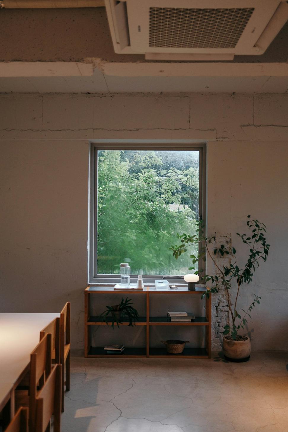 Shadow at Crest Studio