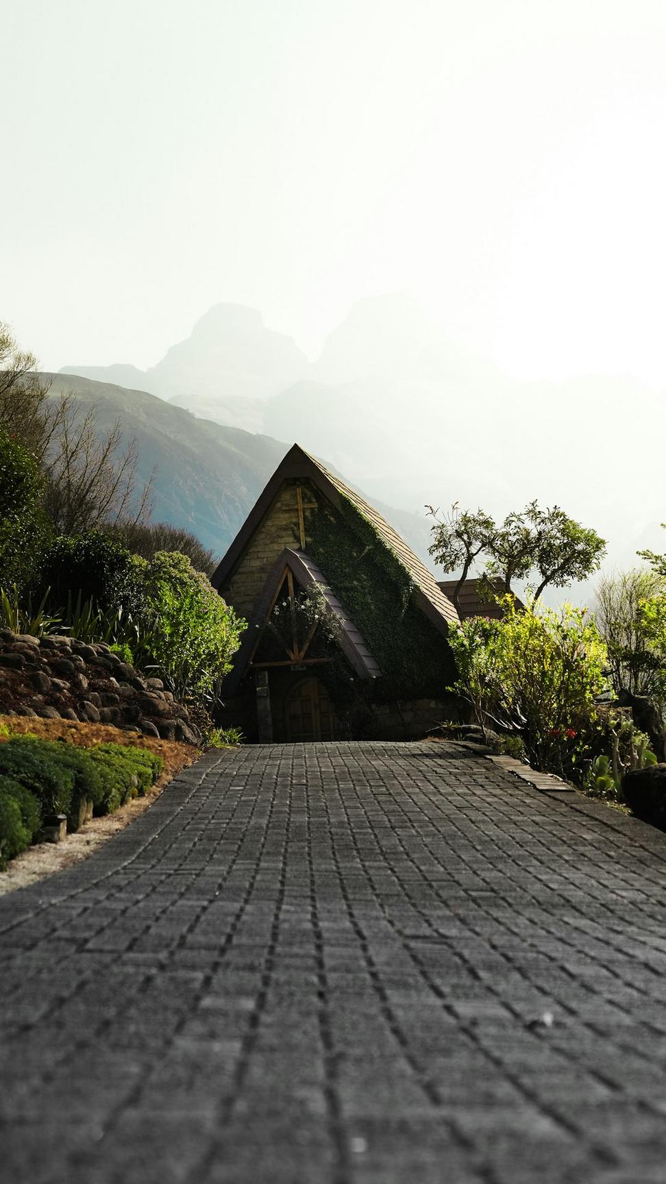 Shadow at Crest Architecture Team